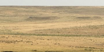 La Rural de Tacuarembó reclama medidas efectivas para hacer frente a la sequia