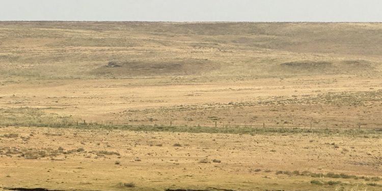 La Rural de Tacuarembó reclama medidas efectivas para hacer frente a la sequia