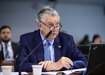 Manini: homem de visão estratégica