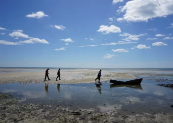 Si a Francia no le interesa el Mercosur, ¿por qué le seguimos comprando autos?
