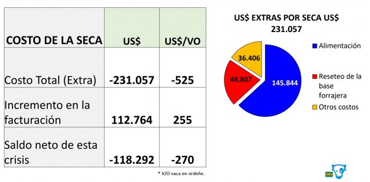 Para la lechería, el saldo neto de la crisis es de US$ 270 por vaca en ordeñe