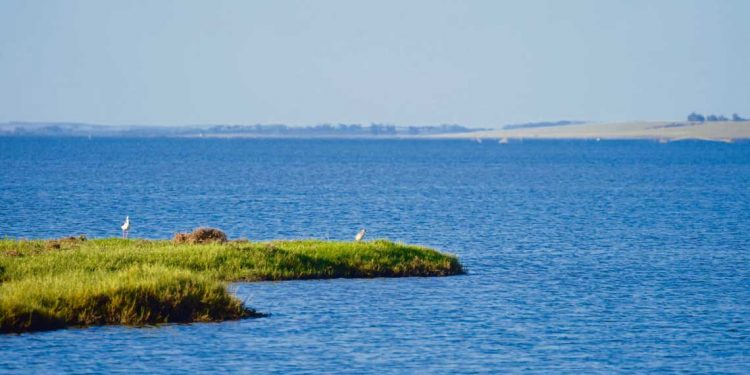 La hidrovía Laguna Merín-Laguna dos Patos de nuevo sobre el tapete binacional