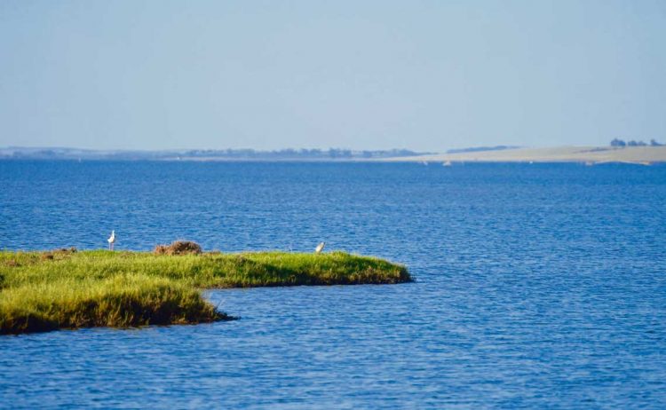 La hidrovía Laguna Merín-Laguna dos Patos de nuevo sobre el tapete binacional