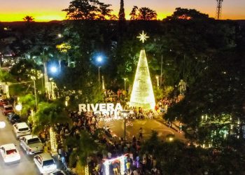 Descubren maniobra con libretas de conducir falsas. Varias personas indagadas
