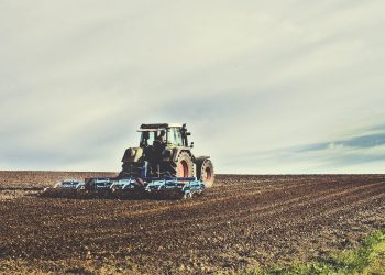 INIA: En año seco, la persistencia de herbicidas en suelo puede dañar próximas siembras
