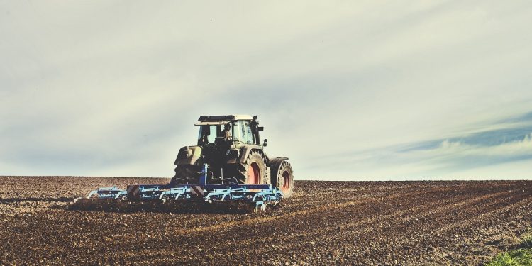 INIA: En año seco, la persistencia de herbicidas en suelo puede dañar próximas siembras