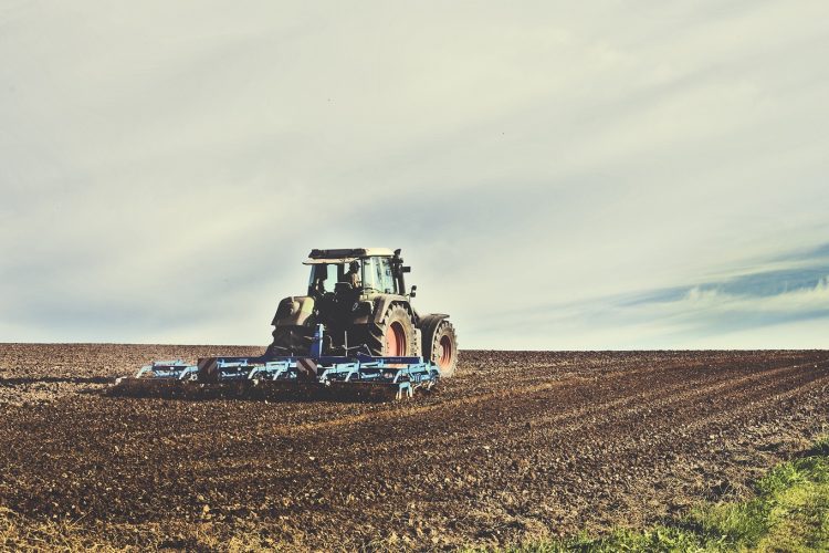 INIA: En año seco, la persistencia de herbicidas en suelo puede dañar próximas siembras