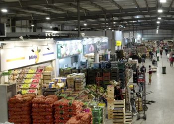 En 2022, la oferta anual de frutas y hortalizas frescas en la UAM fue de 386 toneladas