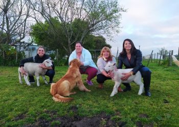 Tres grupos de mujeres rurales recibieron tierra de Colonización en Canelones y Florida