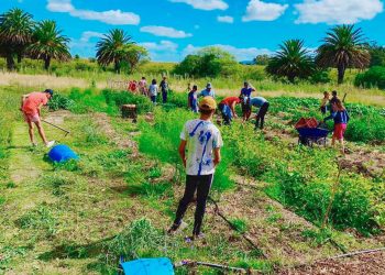 Escuela Agraria Gregorio Aznárez se lució con excelente producción de boniatos