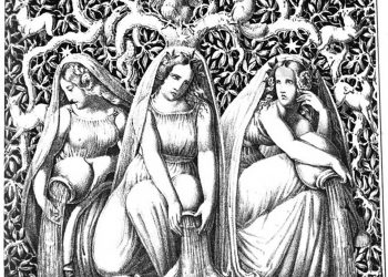 La magia de los árboles