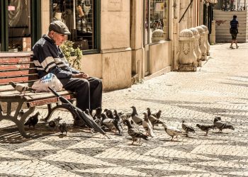 La responsabilidad fiduciaria