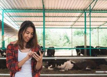 En la región preocupa la brecha rural – urbano en el acceso a internet y tecnología digital