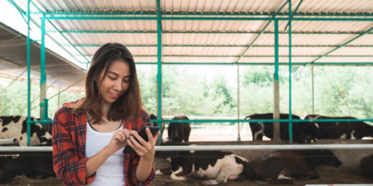 En la región preocupa la brecha rural – urbano en el acceso a internet y tecnología digital
