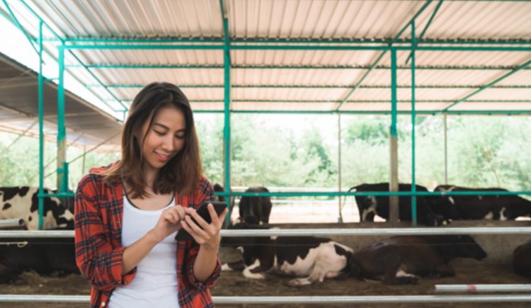 En la región preocupa la brecha rural – urbano en el acceso a internet y tecnología digital