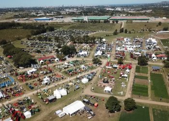 Desde el jueves 13 y hasta el domingo 16 se realizará la 12ª Expo Melilla