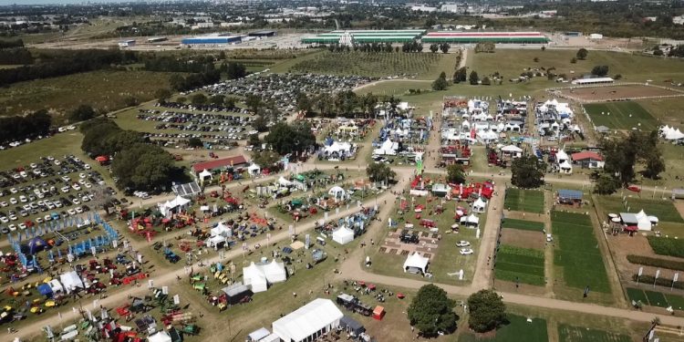 Desde el jueves 13 y hasta el domingo 16 se realizará la 12ª Expo Melilla