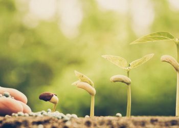 Técnicos del Banco Mundial estiman que los precios de los fertilizantes afectarán la agropecuaria regional