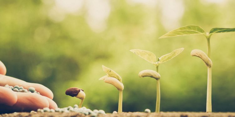 Técnicos del Banco Mundial estiman que los precios de los fertilizantes afectarán la agropecuaria regional