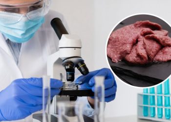 Italia toma la iniciativa y prohíbe la producción y consumo de carnes sintéticas