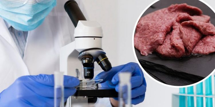 Italia toma la iniciativa y prohíbe la producción y consumo de carnes sintéticas