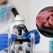 Italia toma la iniciativa y prohíbe la producción y consumo de carnes sintéticas
