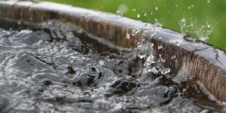 Un proyecto de la coalición en Paysandú, da comienzo a la cosecha de agua
