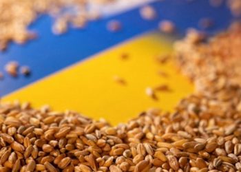 Países del este europeo sufren el exceso de cereales ucranianos y buscan una salida que no los perjudique