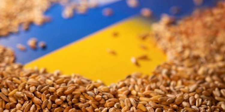 Países del este europeo sufren el exceso de cereales ucranianos y buscan una salida que no los perjudique