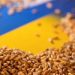Países del este europeo sufren el exceso de cereales ucranianos y buscan una salida que no los perjudique