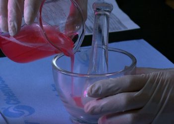 Productores vascos cuestionan al gobierno local por apoyar investigación de carne de laboratorio