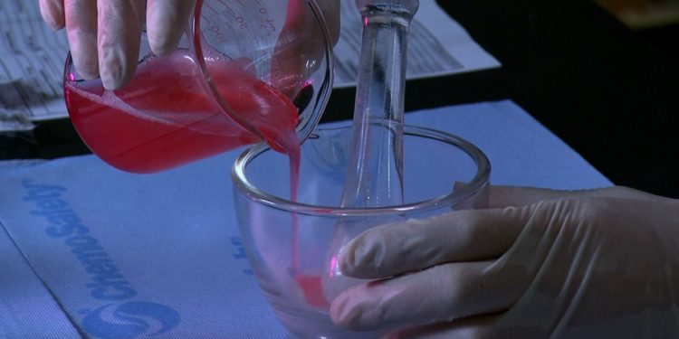 Productores vascos cuestionan al gobierno local por apoyar investigación de carne de laboratorio