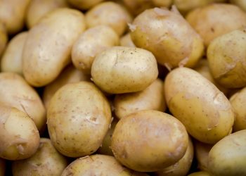 La sequía redujo la oferta de varios productos de granja y los precios subieron