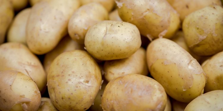 La sequía redujo la oferta de varios productos de granja y los precios subieron