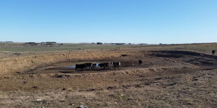 La emergencia agropecuaria se extiende 5 meses más