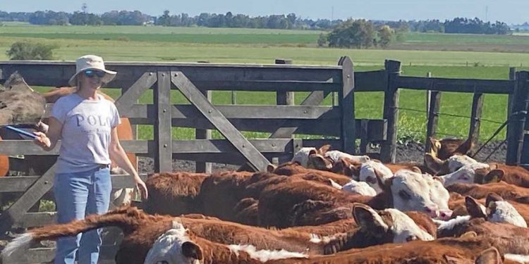 El viernes comienza la Expo Nacional Hereford, la más importante de América