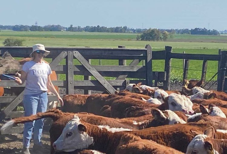El viernes comienza la Expo Nacional Hereford, la más importante de América