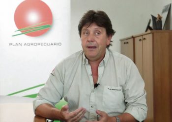 Campo natural en Uruguay, un “recurso productivo único en el mundo”