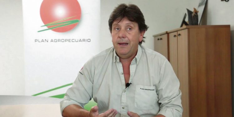 Campo natural en Uruguay, un “recurso productivo único en el mundo”