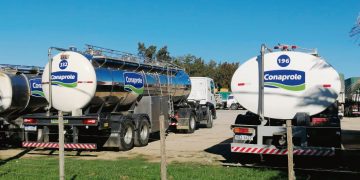 A pesar de la conflictividad laboral Conaprole sigue incorporando tecnología de última generación