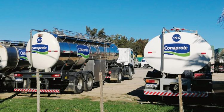 A pesar de la conflictividad laboral Conaprole sigue incorporando tecnología de última generación