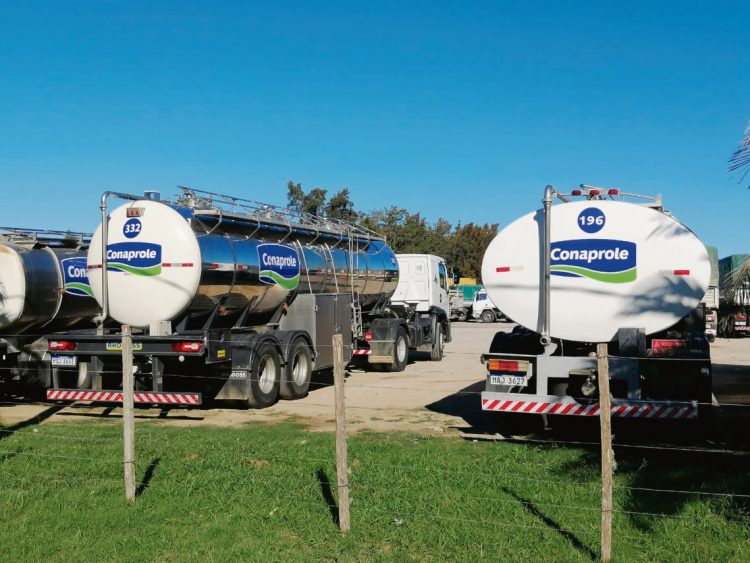 A pesar de la conflictividad laboral Conaprole sigue incorporando tecnología de última generación