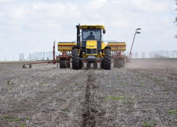 La falta de lluvias retrasó los cultivos de invierno