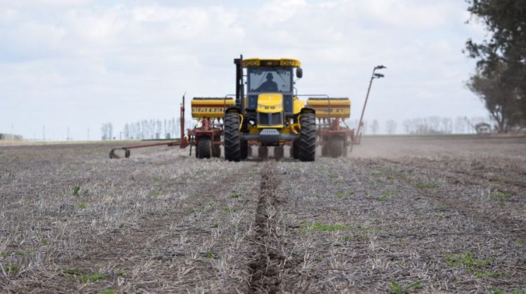 La falta de lluvias retrasó los cultivos de invierno