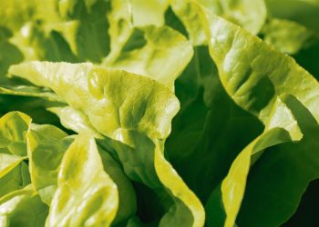 Tu lista inteligente: frutas y verduras de estación.