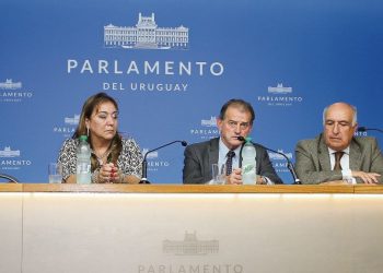 Cabildo Abierto presentó nuevo proyecto de ley de reestructuración de deudas de personas físicas