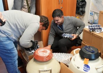 Uruguay recibió las primeras vacunas contra la influenza aviar