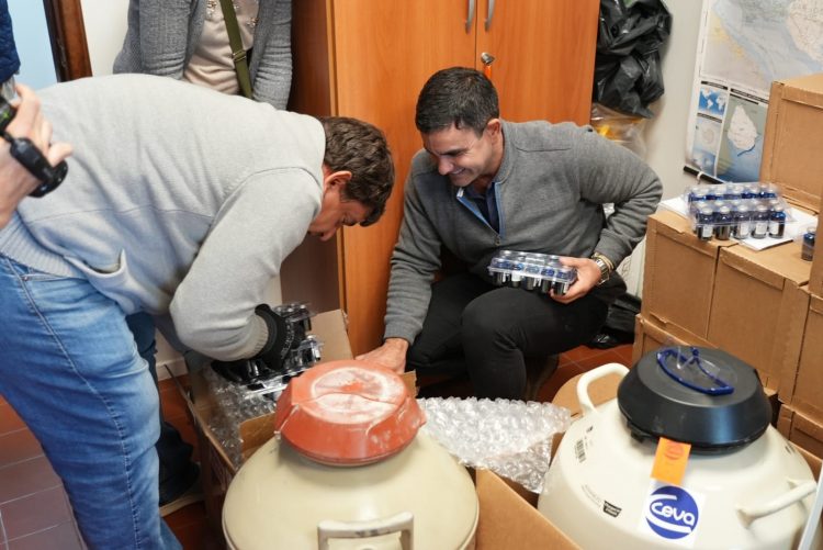 Uruguay recibió las primeras vacunas contra la influenza aviar