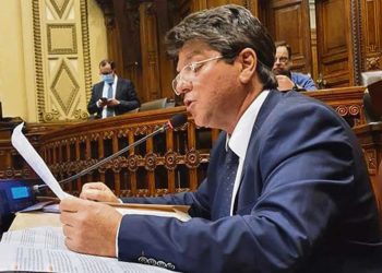 El proyecto Neptuno “es el sueño del pibe para los privados”