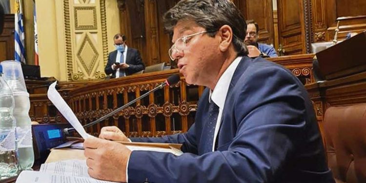 El proyecto Neptuno “es el sueño del pibe para los privados”